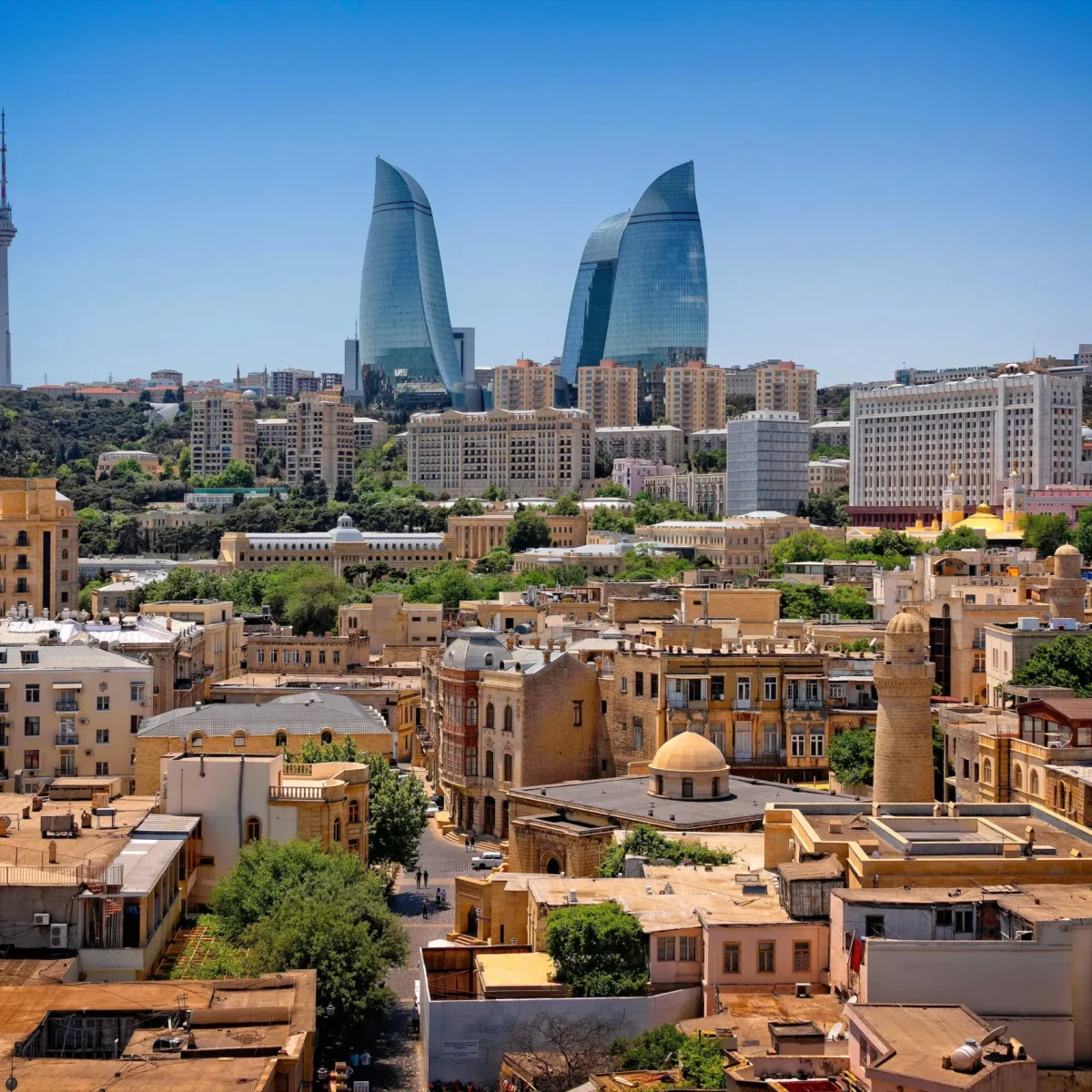 baku_OIPJAbO-S baku_OIPJAbO-S